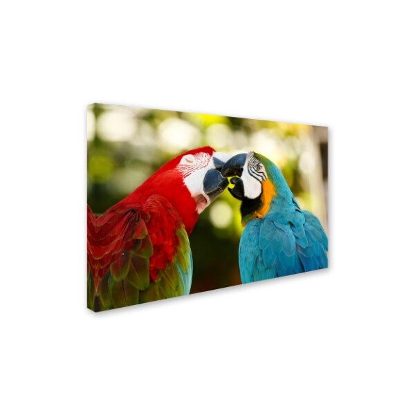 Mike Jones Photo 'The Kiss' Canvas Art,12x19